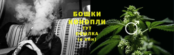 дмт Бородино