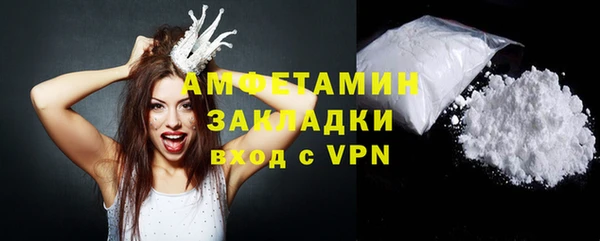дмт Бородино