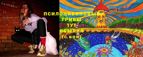 хмурый Киреевск