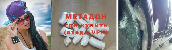 гидра Каменка