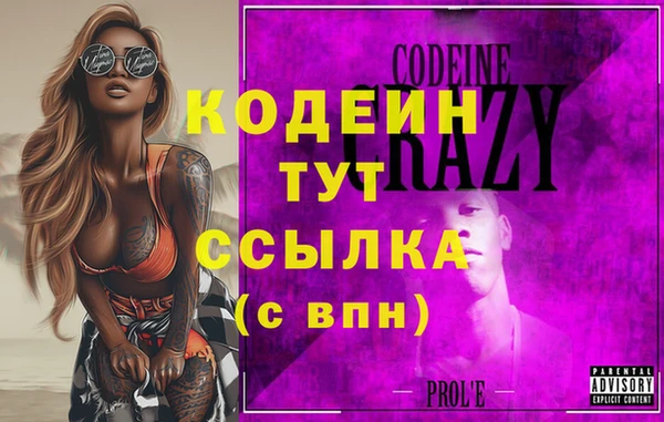 дмт Бородино