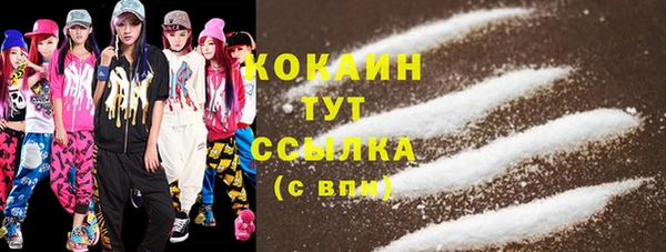 ешки Бронницы