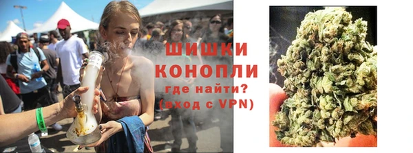 дмт Бородино