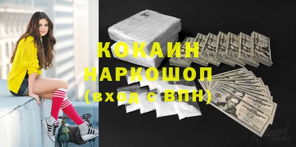 ешки Бронницы
