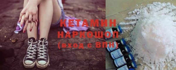 дмт Бородино