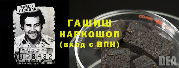 дмт Бородино