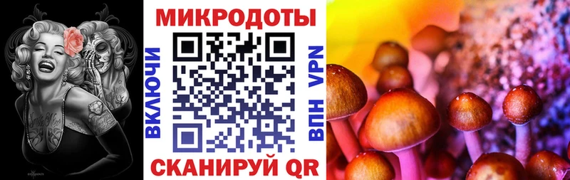 Галлюциногенные грибы Psilocybe  Десногорск 